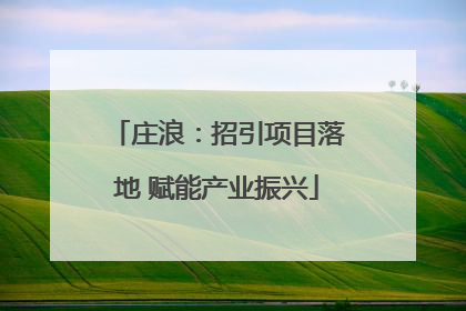 庄浪：招引项目落地 赋能产业振兴